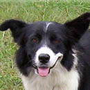 Yasmin was adopted in January, 2006
